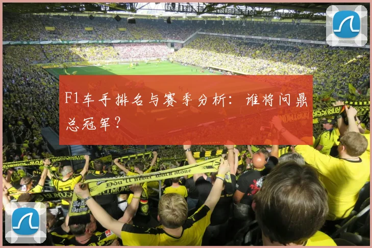 F1车手排名与赛季分析：谁将问鼎总冠军？