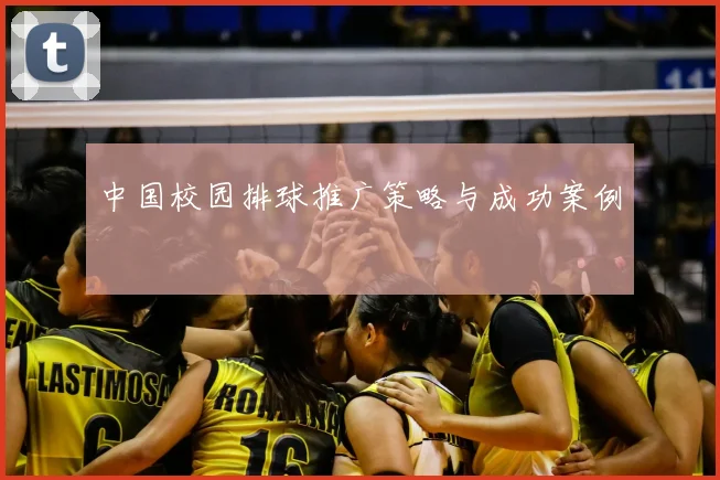 中国校园排球推广策略与成功案例