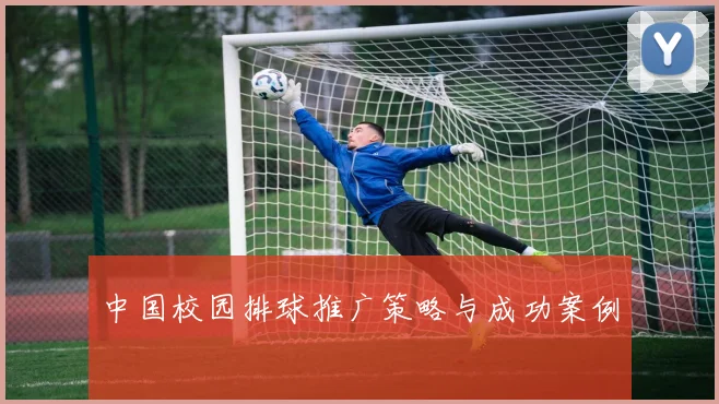 中国校园排球推广策略与成功案例
