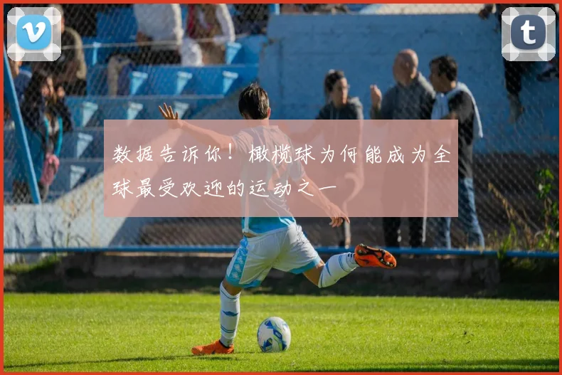 数据告诉你！橄榄球为何能成为全球最受欢迎的运动之一