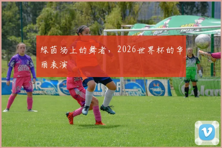 绿茵场上的舞者,2026世界杯的华丽表演