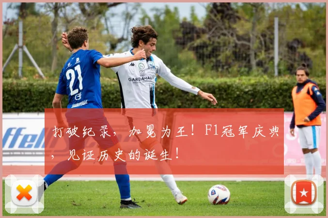 打破纪录，加冕为王！F1冠军庆典，见证历史的诞生！