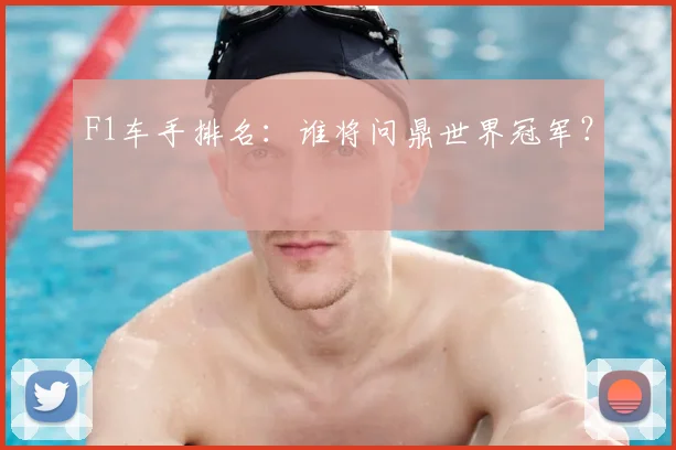 F1车手排名：谁将问鼎世界冠军？