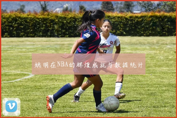 姚明在NBA的辉煌成就与数据统计